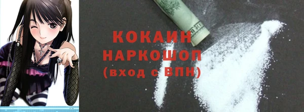 ешки Новодвинск