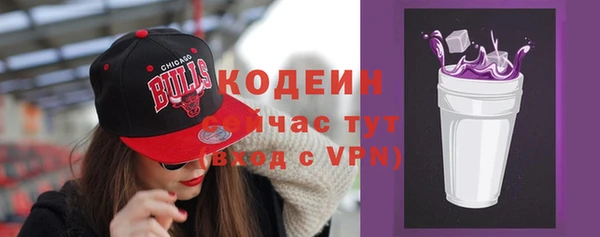 2c-b Новозыбков